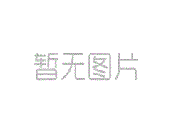 二手車買油車好還是電車好？